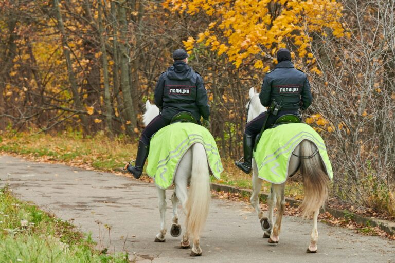 Mounted police in autumn city park, back view